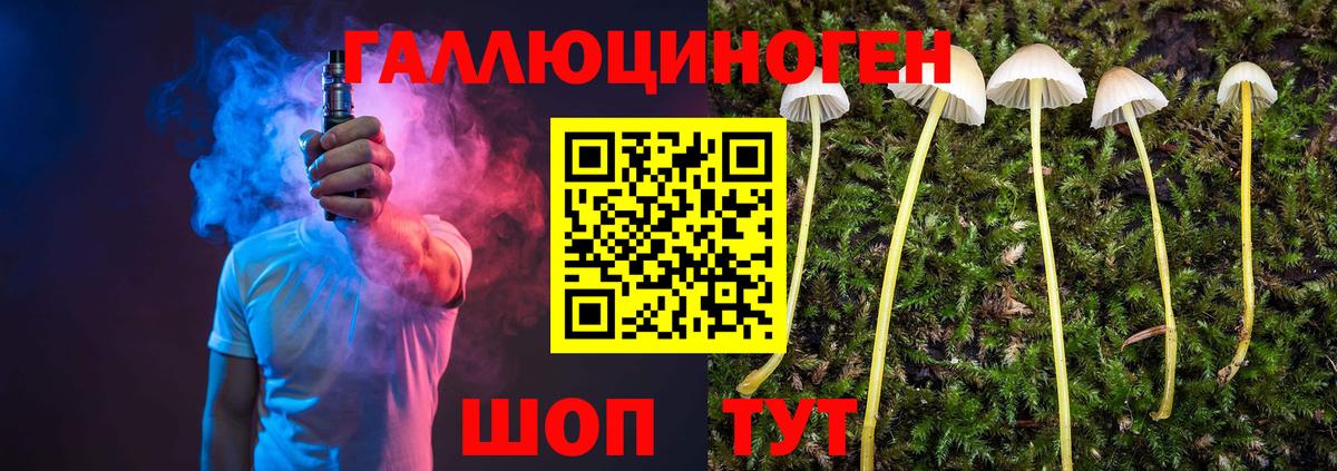 Галлюциногенные грибы прущие грибы Серпухов