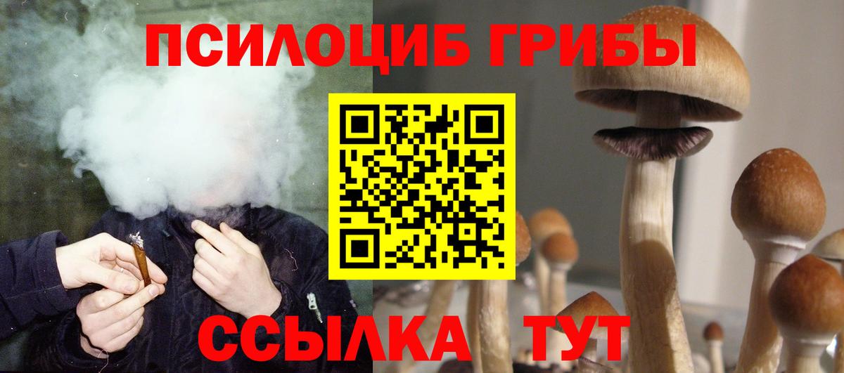 цены наркотик  Вход с VPN  Серпухов  Псилоцибиновые грибы прущие грибы 